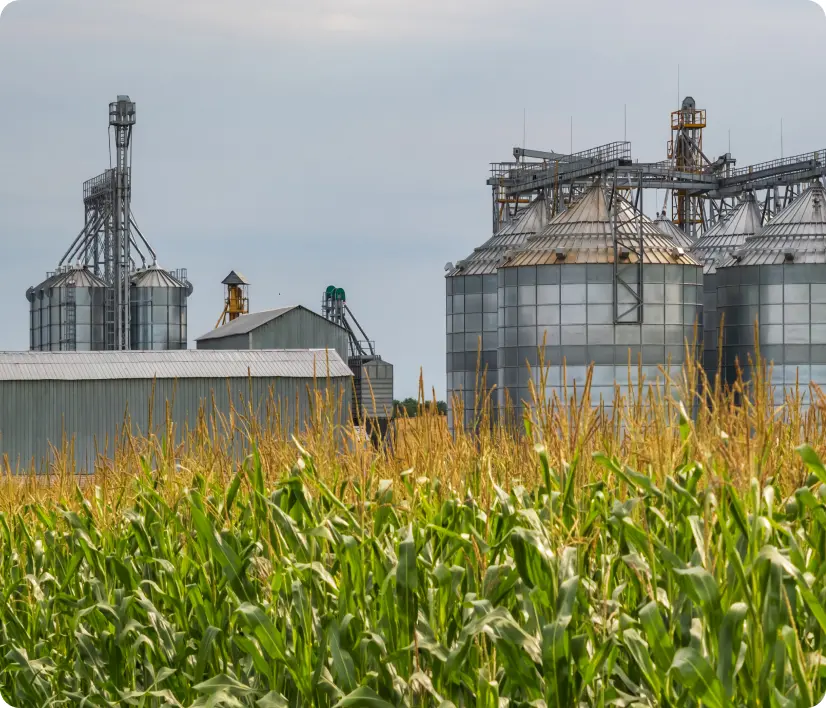 Fertilizer plants